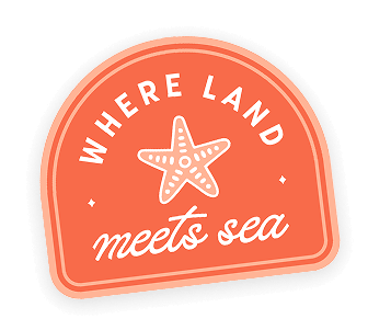 Where Land Meets Sea