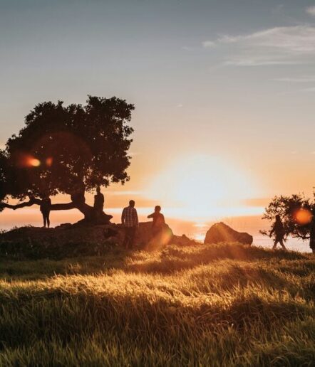 A group of people stand near a tree in a grassy field at sunset, with the sun low on the horizon, casting a warm golden light over the scene.