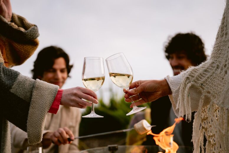 Two people toast with glasses of white wine by an outdoor fire pit, while others sit nearby, one roasting marshmallows. Everyone wears cozy clothes, suggesting a cool day or evening.