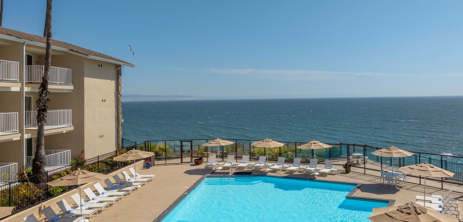 A sparkling outdoor pool surrounded by lounge chairs and umbrellas overlooks the ocean, with a clear blue sky above and a building with balconies on the left side.